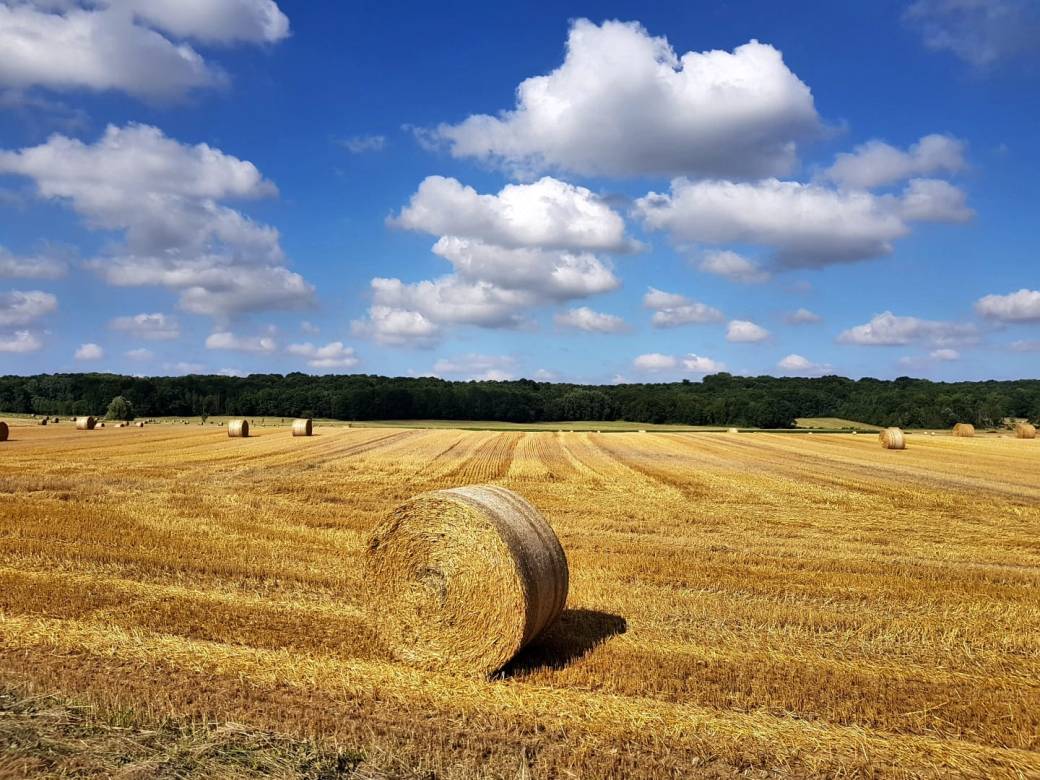PHOTO-2018-06-25-21-39-42
