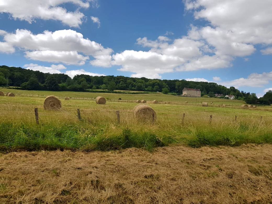 PHOTO-2018-06-25-21-39-54 (2)