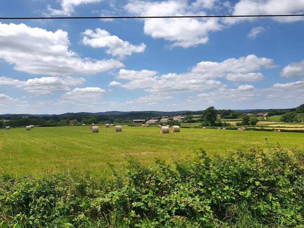 PHOTO-2018-06-25-21-39-55