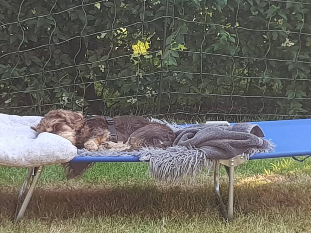 PHOTO-2018-06-29-21-53-24