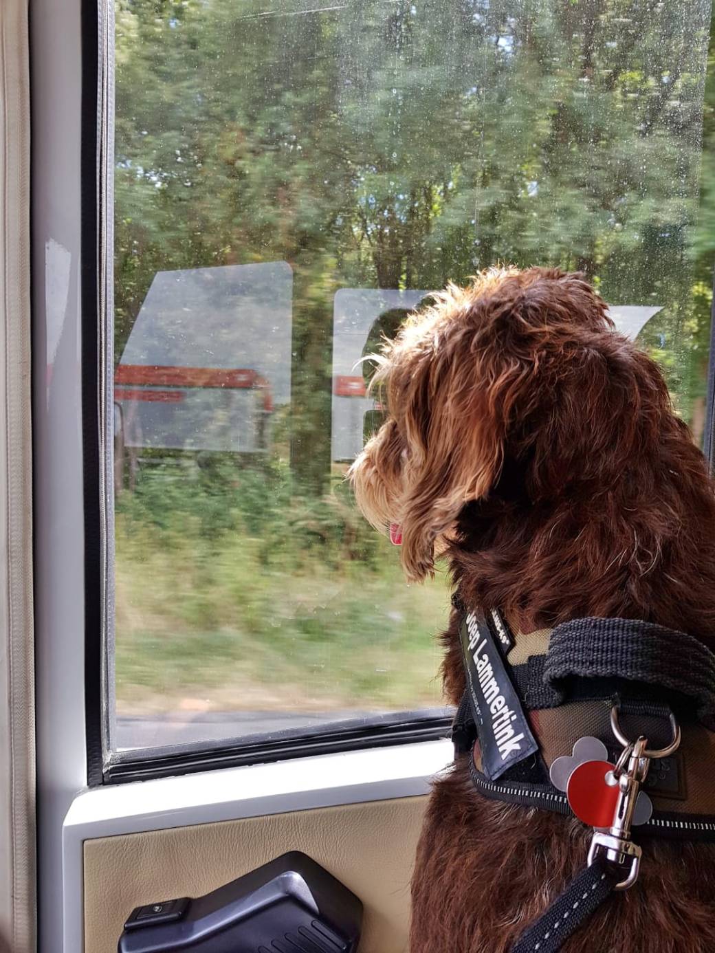 PHOTO-2018-08-13-10-54-49[3]