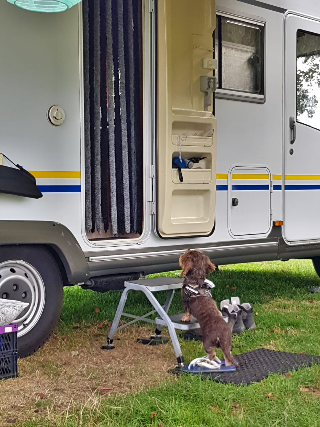 PHOTO-2018-09-09-19-33-00 (1)