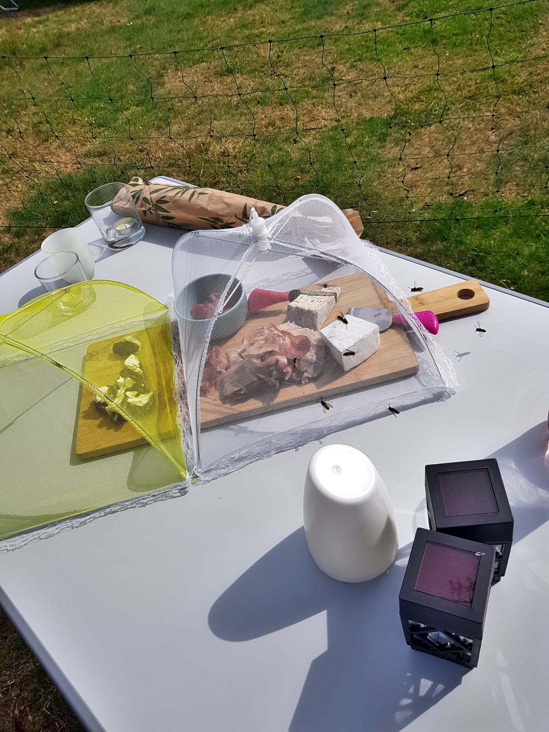 PHOTO-2018-09-14-15-01-05