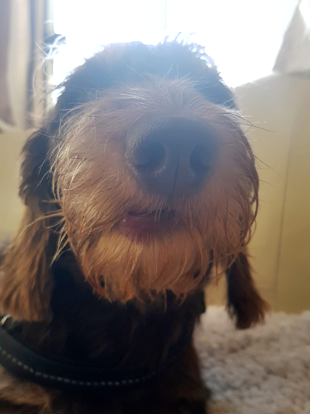 PHOTO-2018-09-14-15-01-45