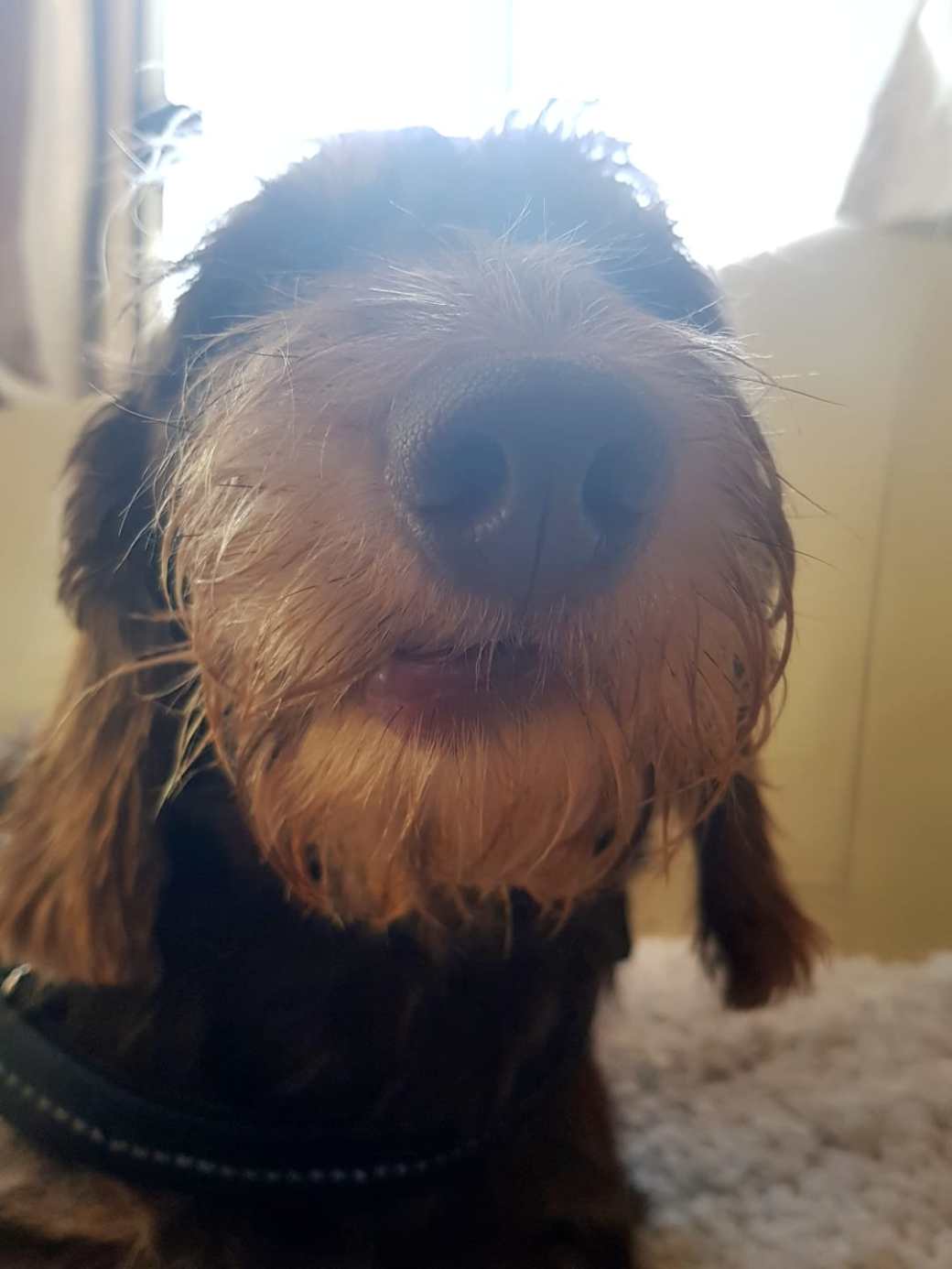 PHOTO-2018-09-14-15-01-45