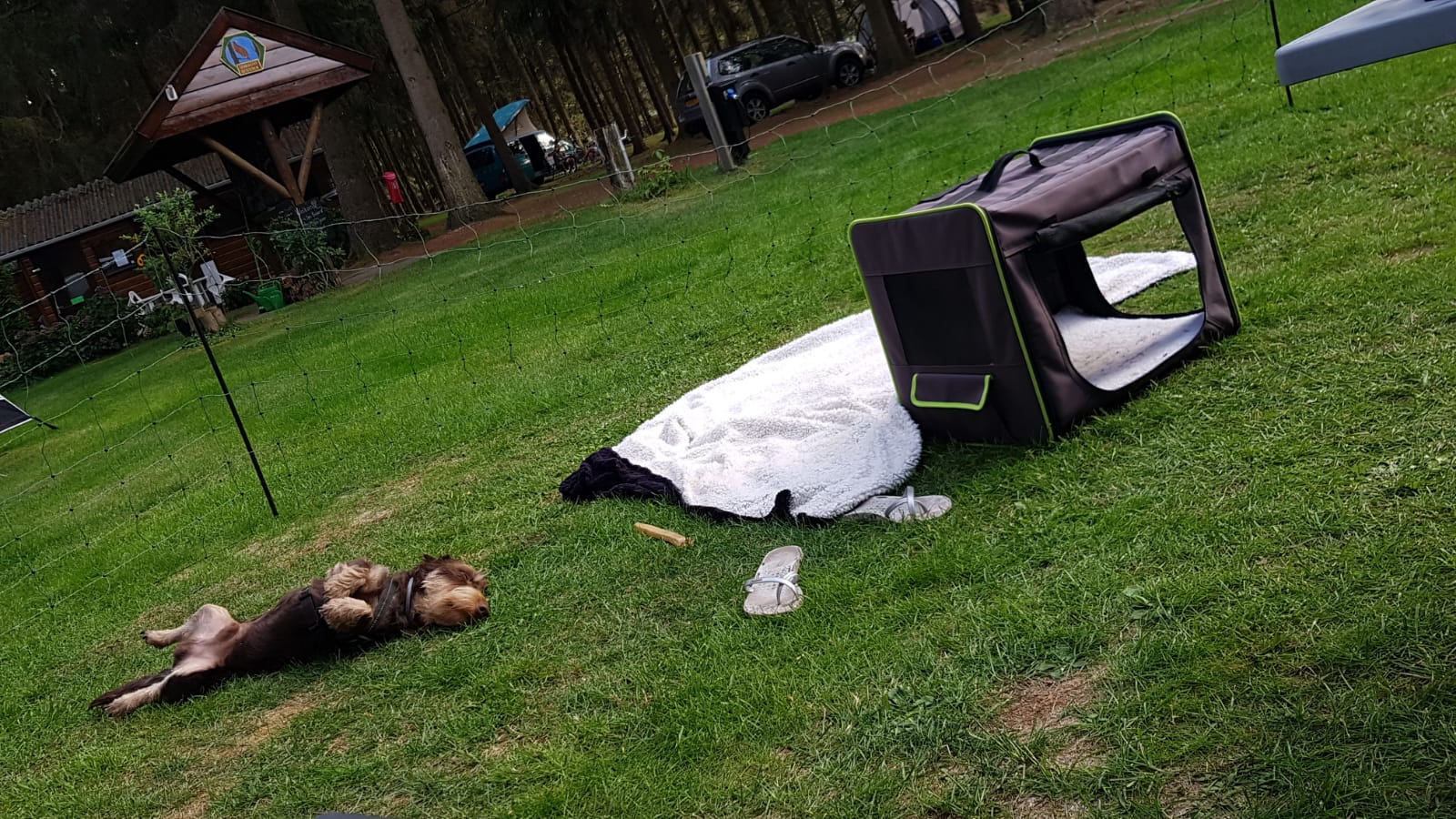 PHOTO-2018-09-16-18-00-18