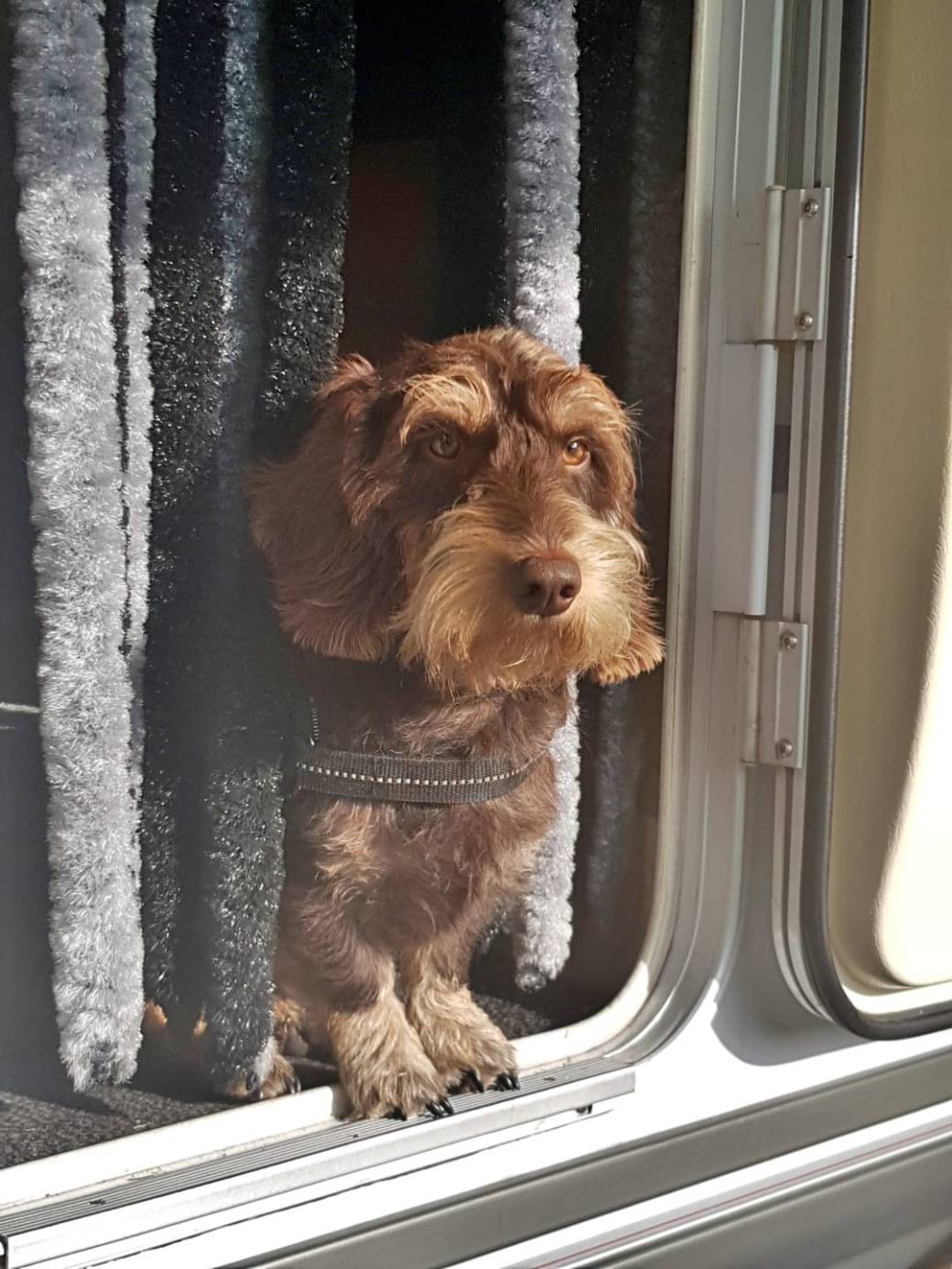 PHOTO-2018-09-22-11-59-31